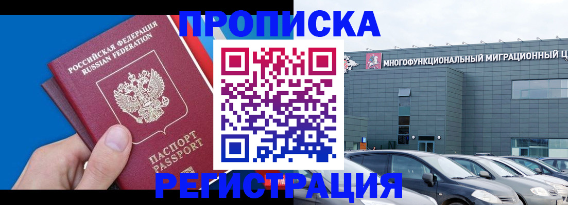 прописка для школы в Новгородской области